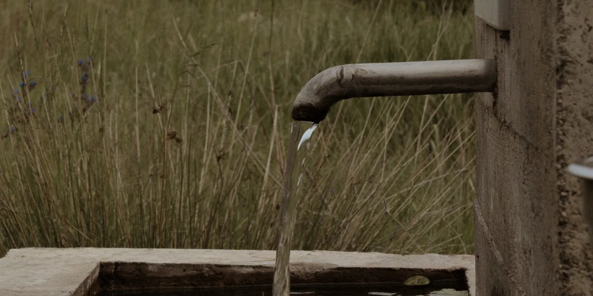 Fuente rural de agua no tratada con pilón de piedra